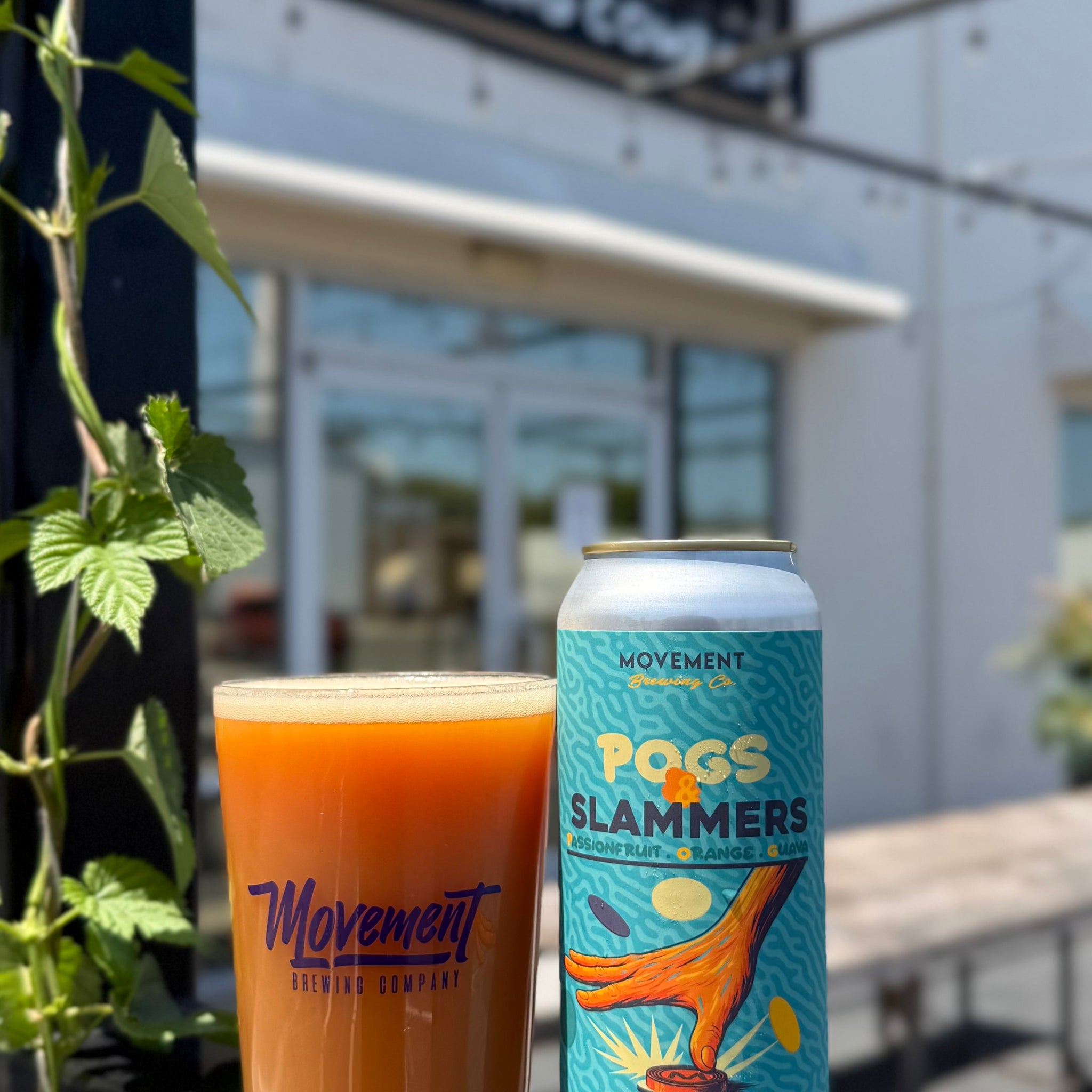 POGs & Slammers // Fruited Sour // 4 Pack-16oz cans