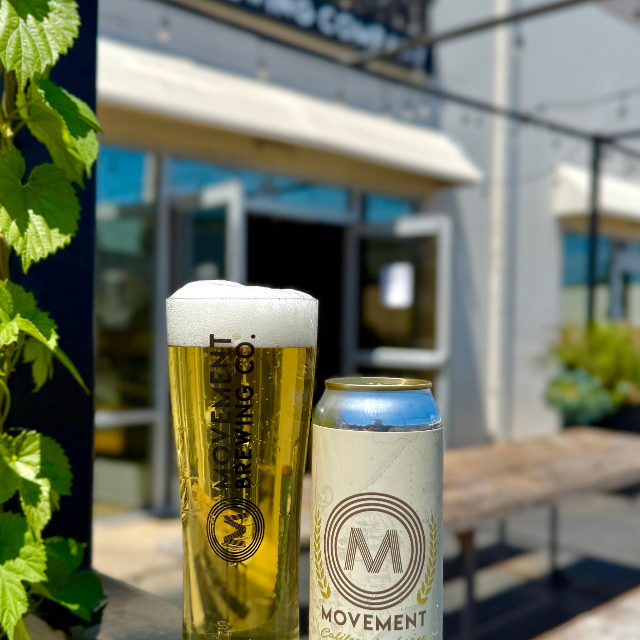 Movement California Lager // 4 Pack-16oz cans