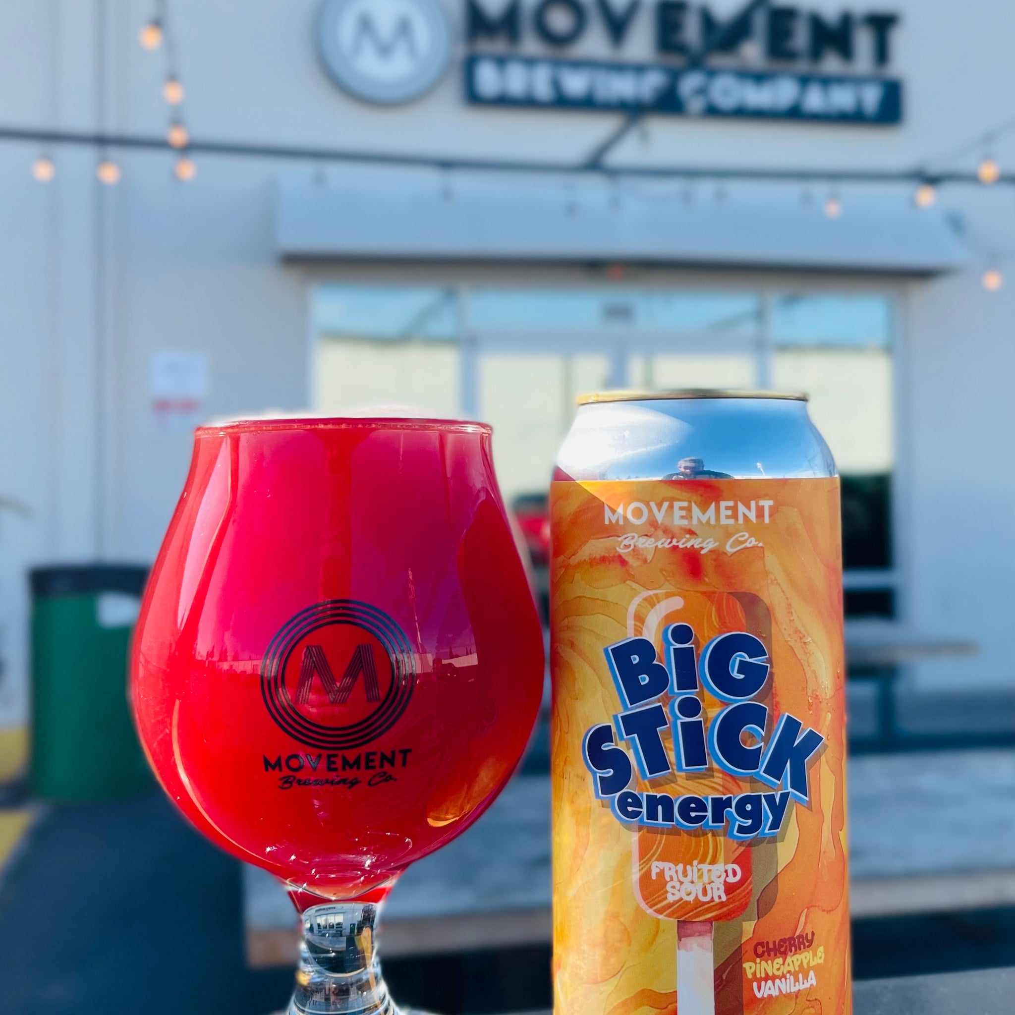 Big Stick Energy // Fruited Sour // 4 Pack-16oz cans